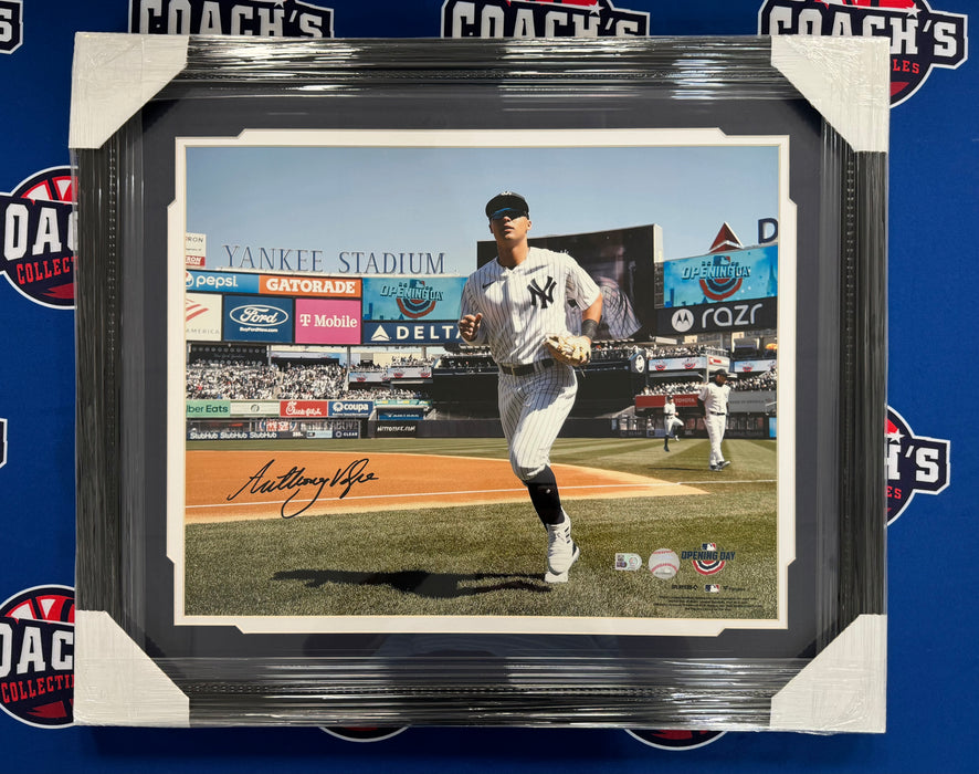 FRAMED Anthony Volpe Autographed 16x20 NY Yankees Hitting Photograph (Fanatics)