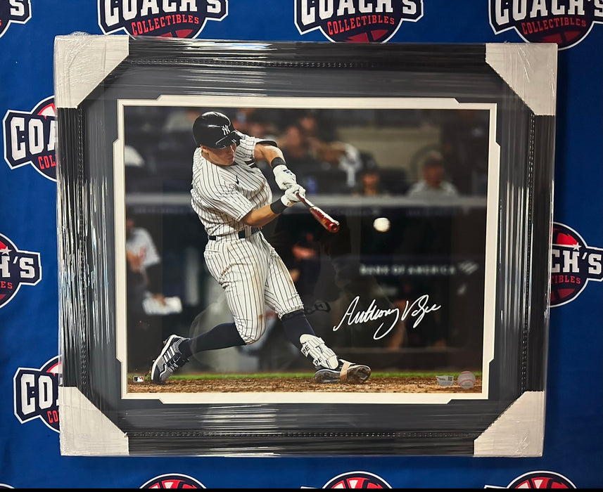 FRAMED Anthony Volpe Autographed 16x20 NY Yankees Hitting Photograph (Fanatics)