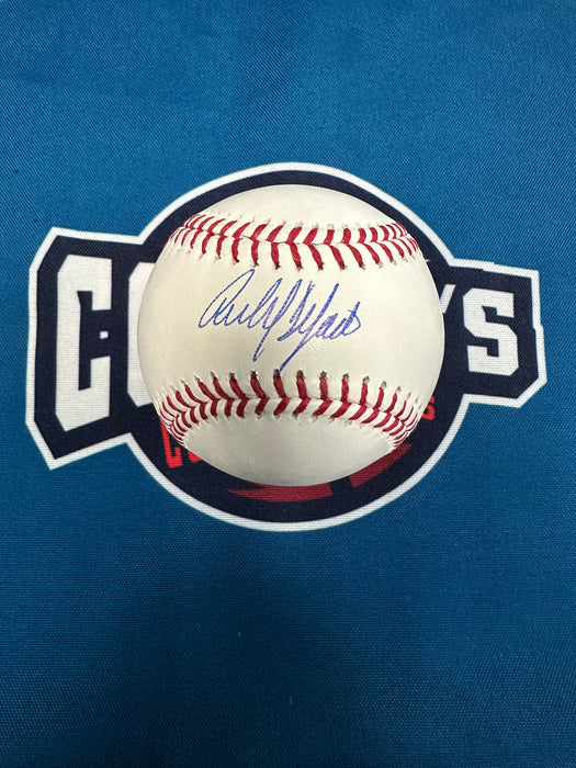 Carlos Delgado Autographed OML Baseball (JSA)