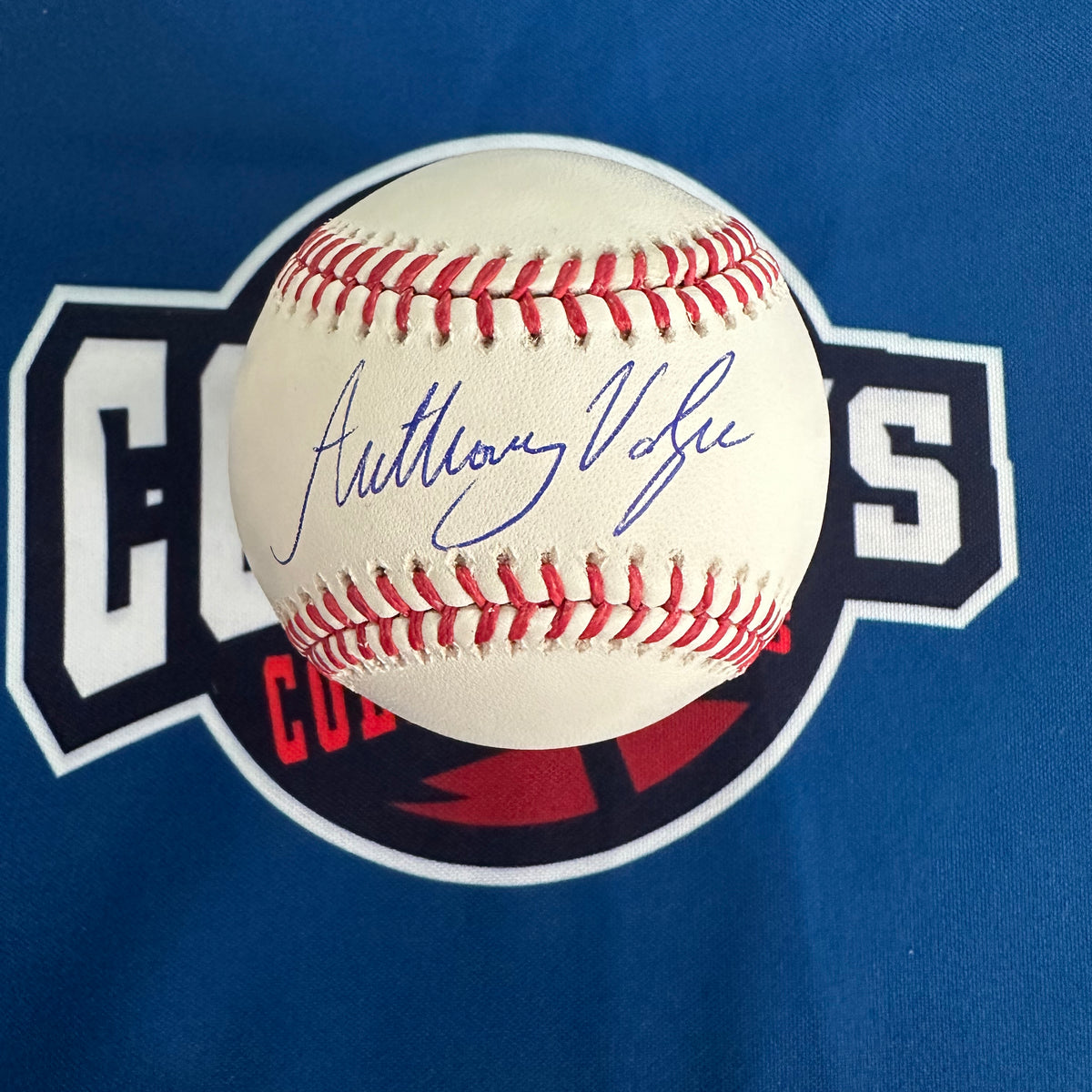Anthony Volpe Game-Used 直筆サインボール Anthony Volpe Autographed OMLB (Fanatics/MLB) — Coach's Collectibles