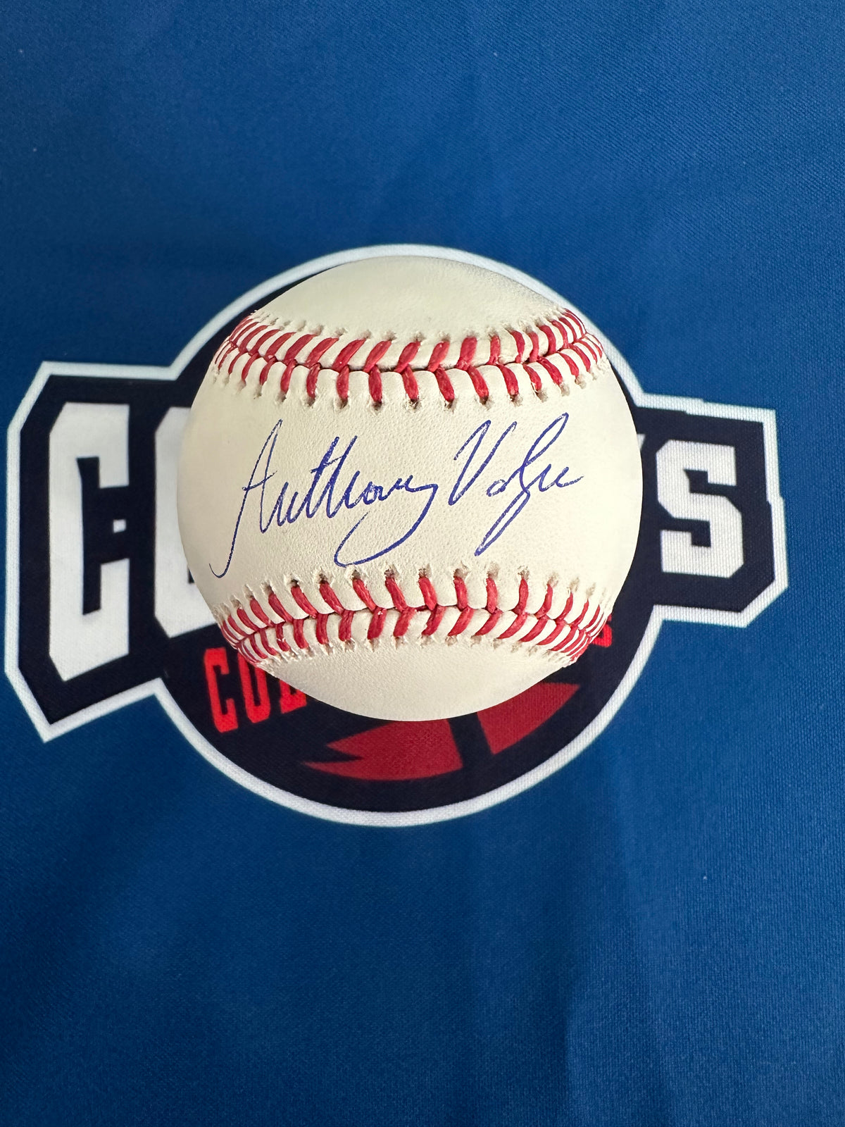 Anthony Volpe Autographed OMLB (Fanatics/MLB) — Coach's Collectibles